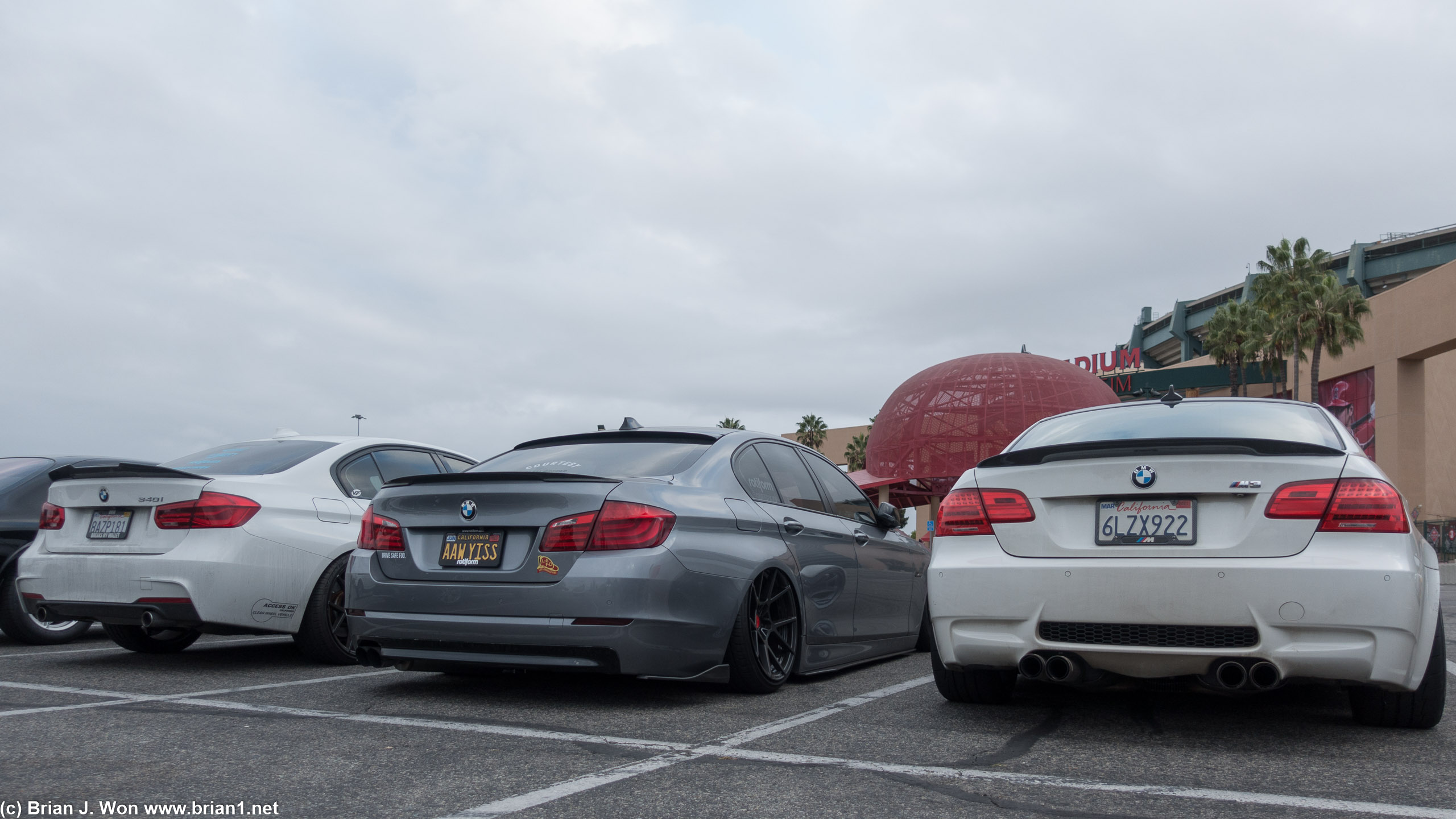 Rice in the parking lot.