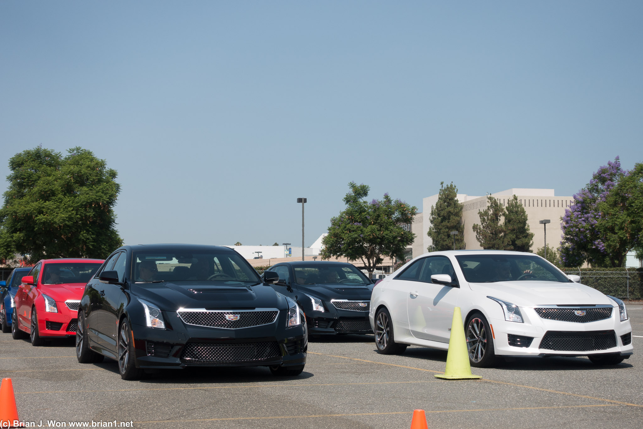 Five ATS-V coupe automatics. Plus they had at least two spares somewhere, maybe three.