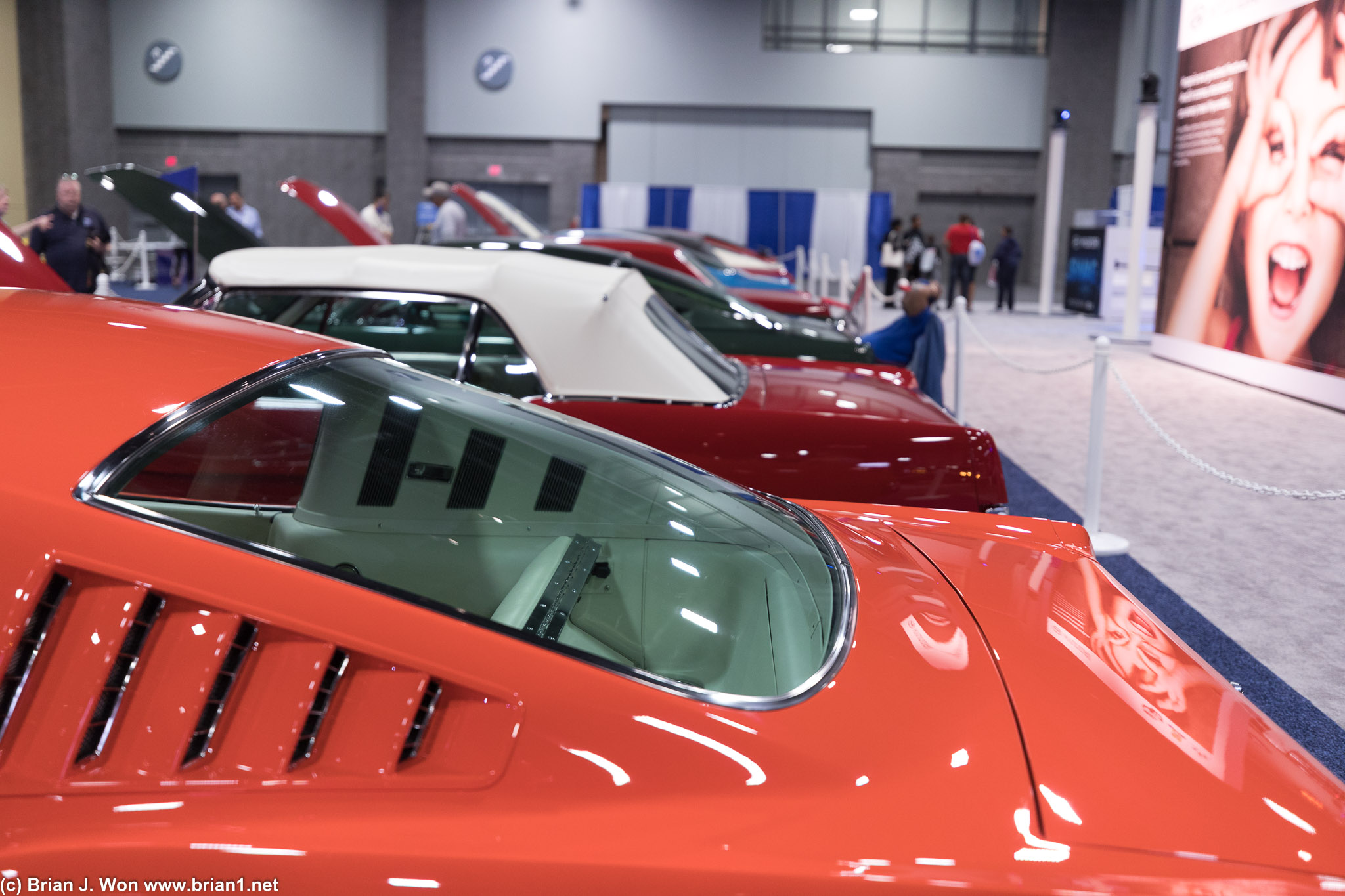 Row of classic Mustangs.