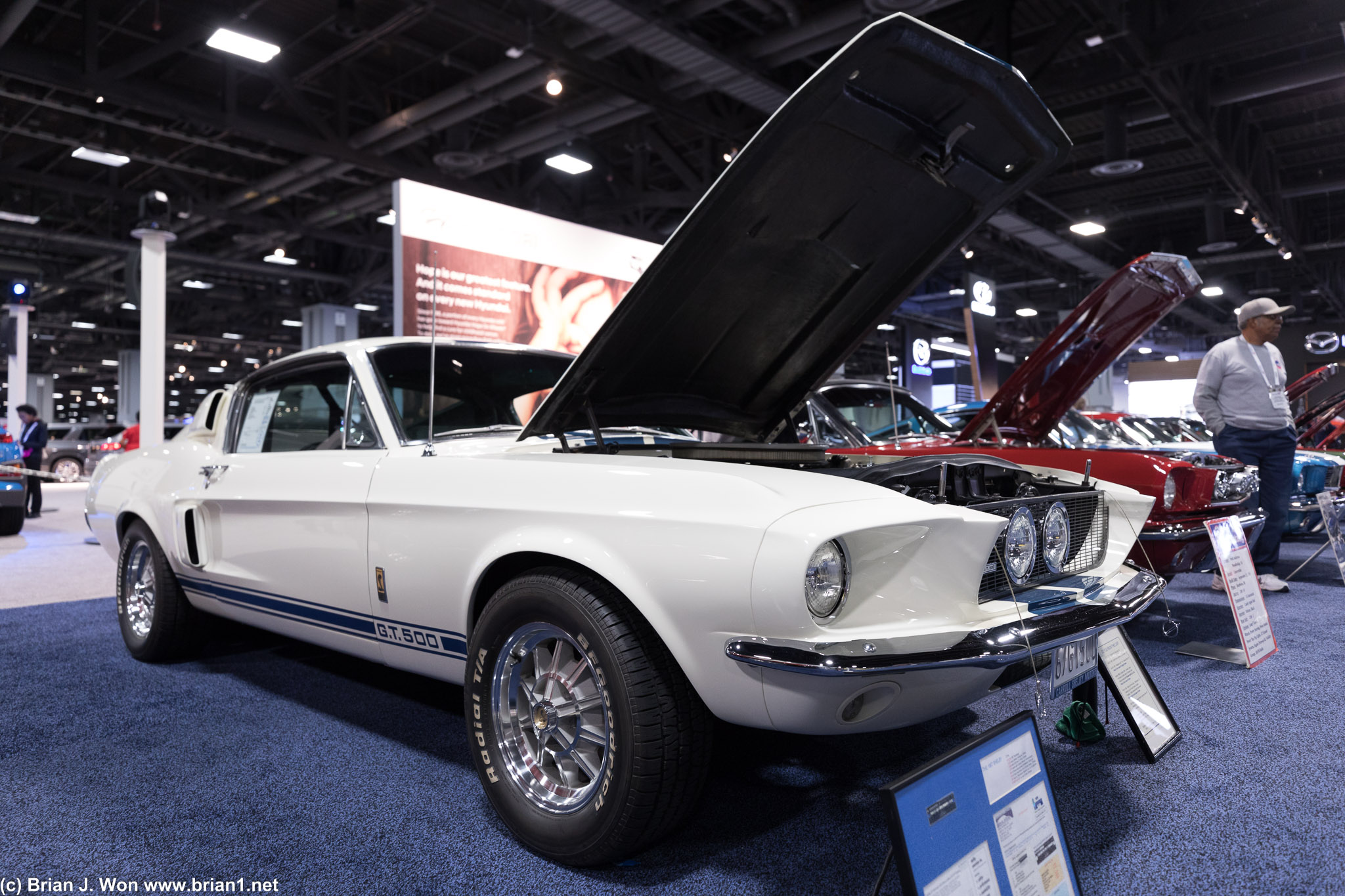 An immaculate Ford GT500.