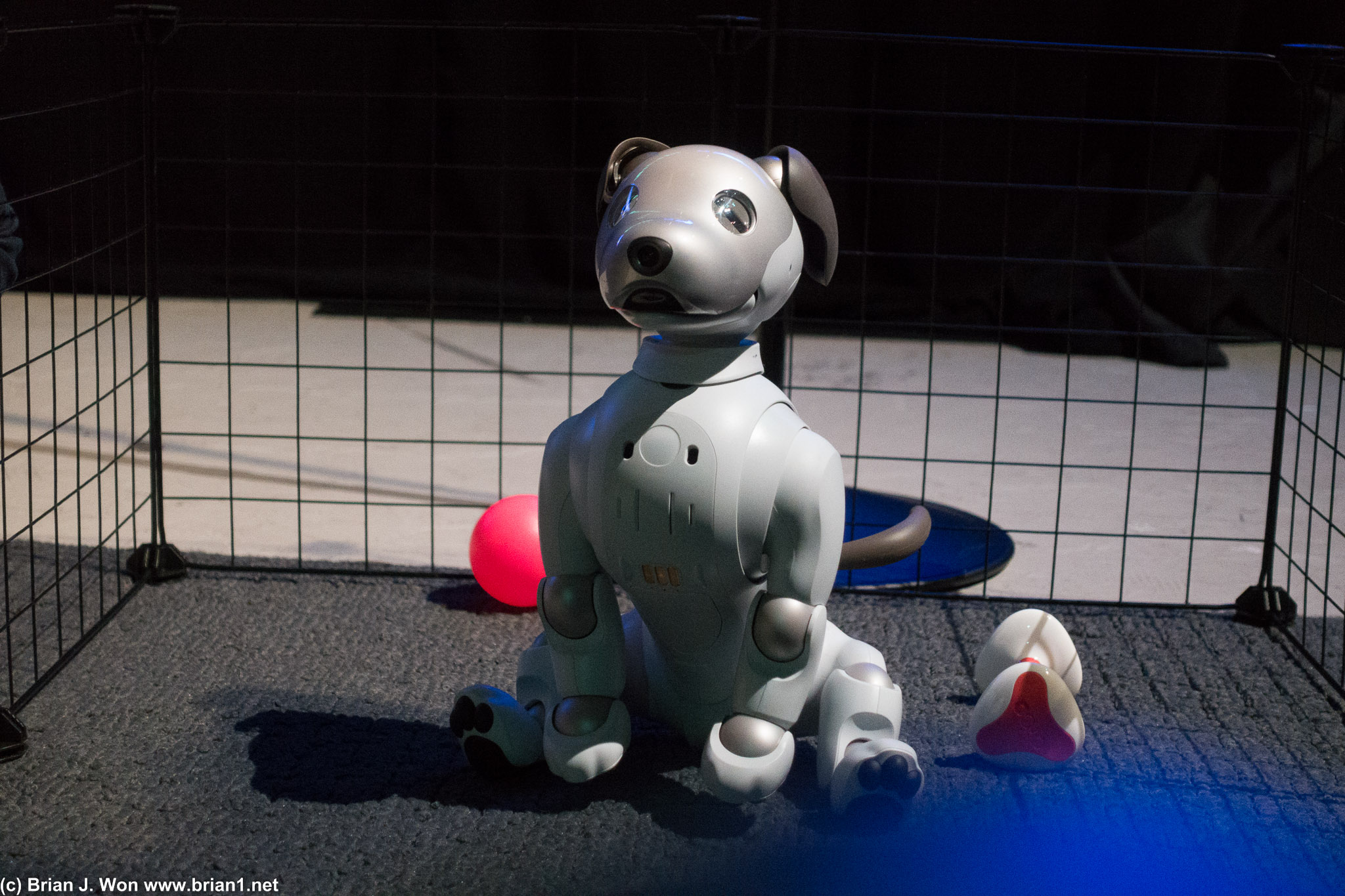 Sony Aibo.
