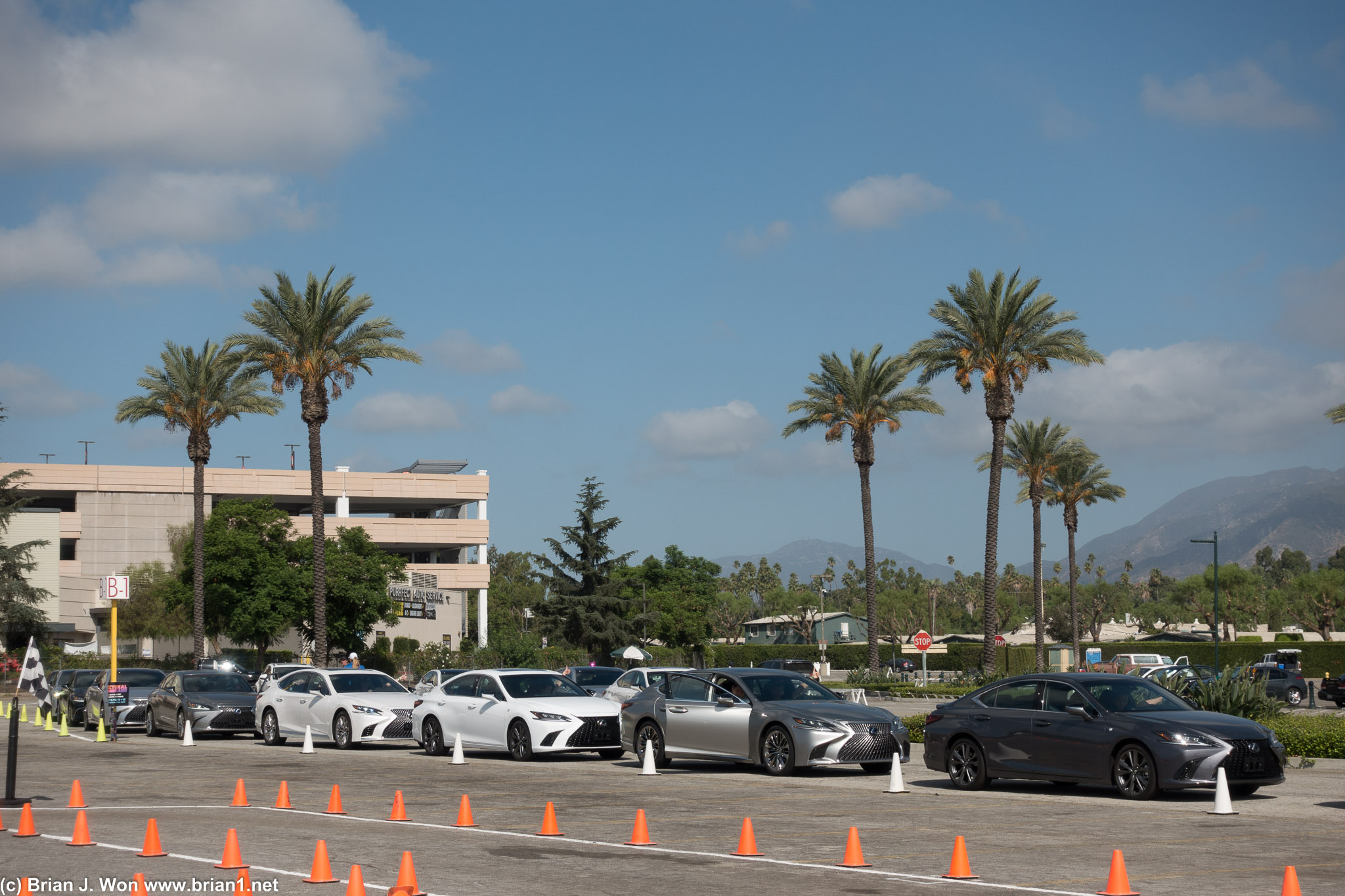 Row of Lexus LS and ES for the street drive.